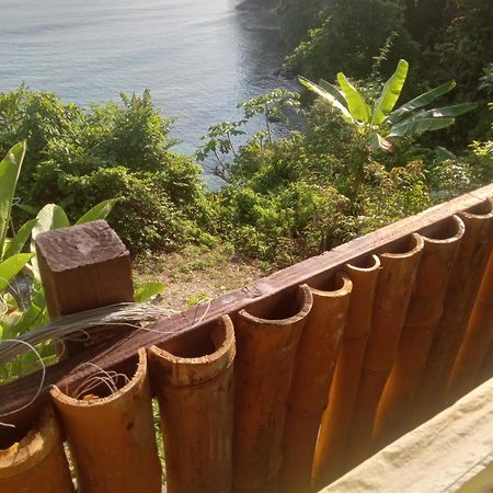 Treehouse Above The Beach Порт-Антонио Экстерьер фото
