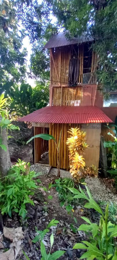 Treehouse Above The Beach Порт-Антонио Экстерьер фото