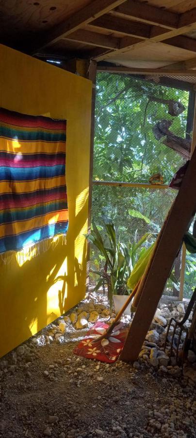 Treehouse Above The Beach Порт-Антонио Экстерьер фото