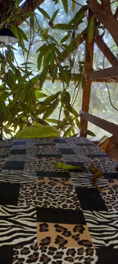 Treehouse Above The Beach Порт-Антонио Экстерьер фото