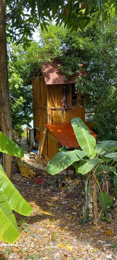 Treehouse Above The Beach Порт-Антонио Экстерьер фото