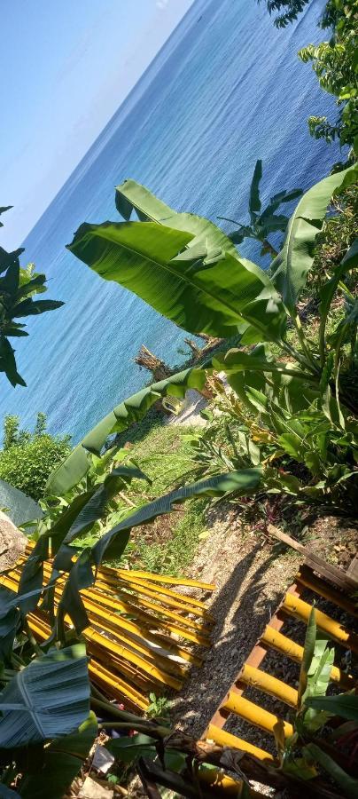 Treehouse Above The Beach Порт-Антонио Экстерьер фото