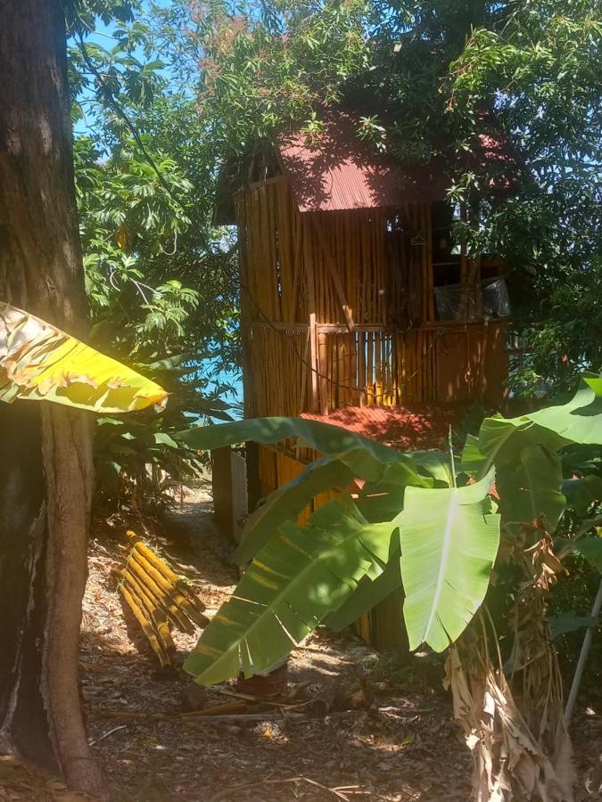 Treehouse Above The Beach Порт-Антонио Экстерьер фото