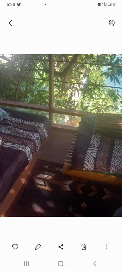 Treehouse Above The Beach Порт-Антонио Экстерьер фото