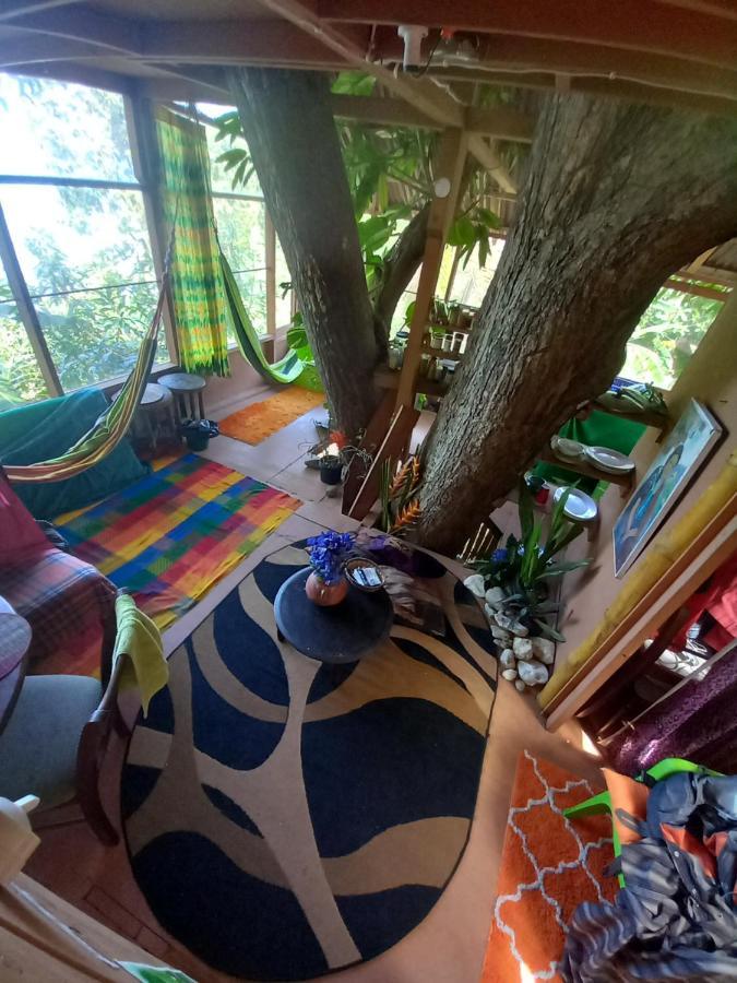 Treehouse Above The Beach Порт-Антонио Экстерьер фото